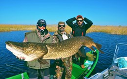Stingu "Captura" doboara recordul lui Boeriu! Stiuca de peste doi metri si 80 kg.